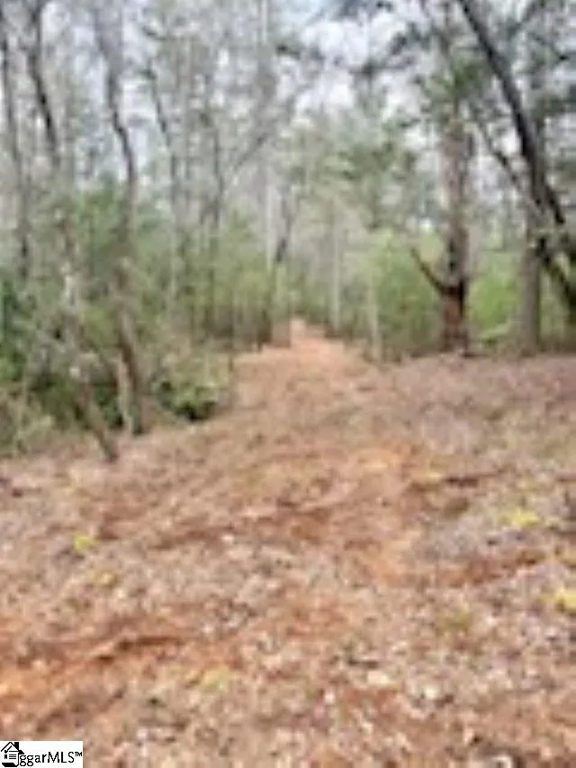 0 Green River Road Zirconia, NC 28790