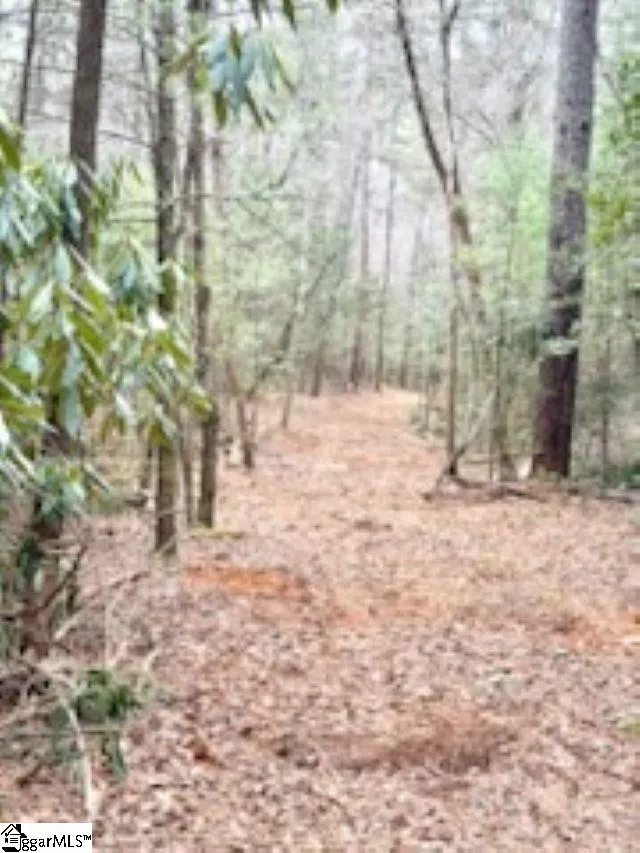 0 Green River Road Zirconia, NC 28790