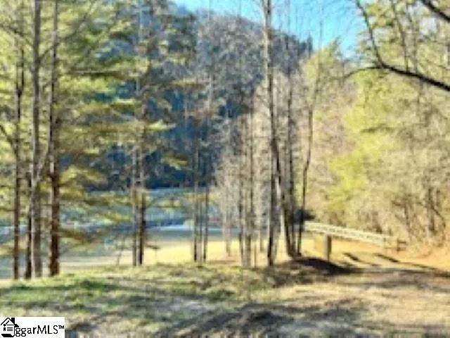 0 Green River Road Zirconia, NC 28790