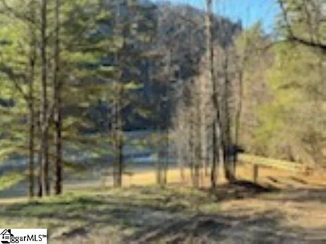 0 Green River Road Zirconia, NC 28790