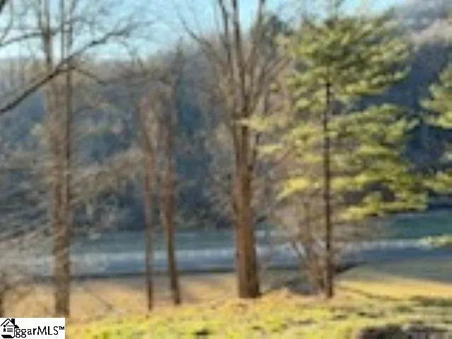 0 Green River Road Zirconia, NC 28790