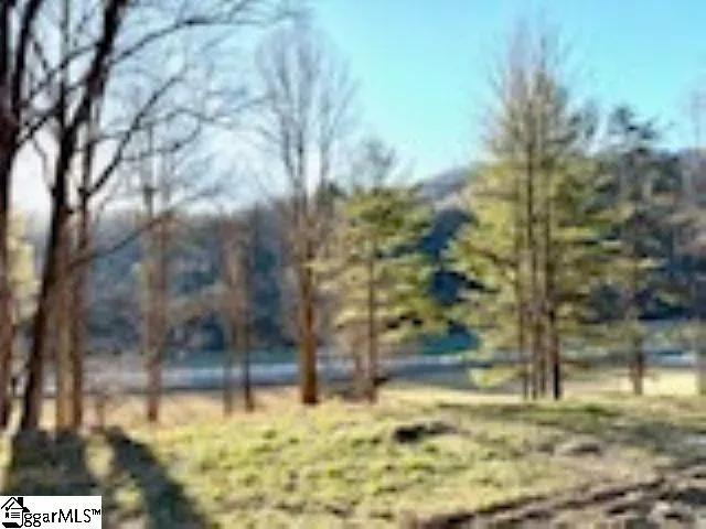0 Green River Road Zirconia, NC 28790