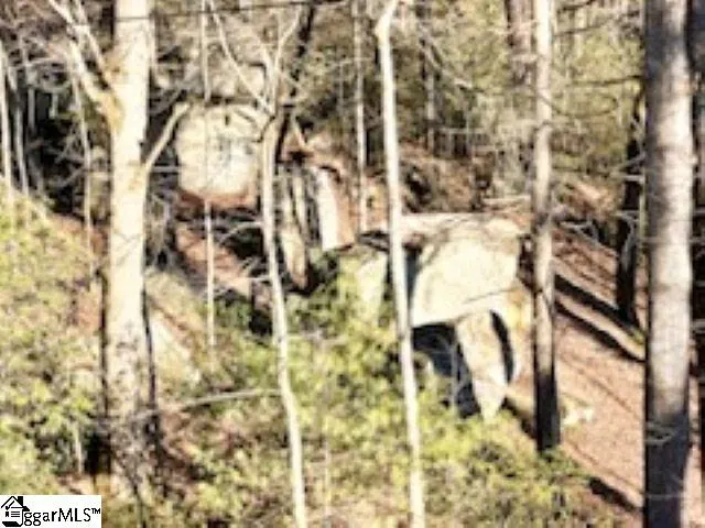0 Green River Road Zirconia, NC 28790