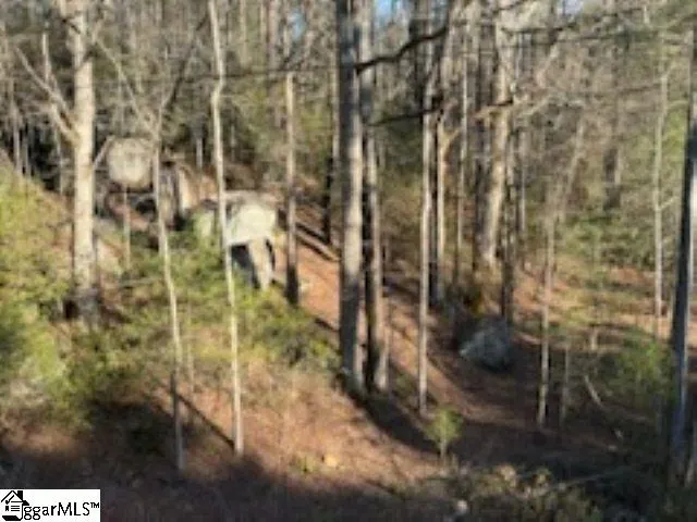 0 Green River Road Zirconia, NC 28790