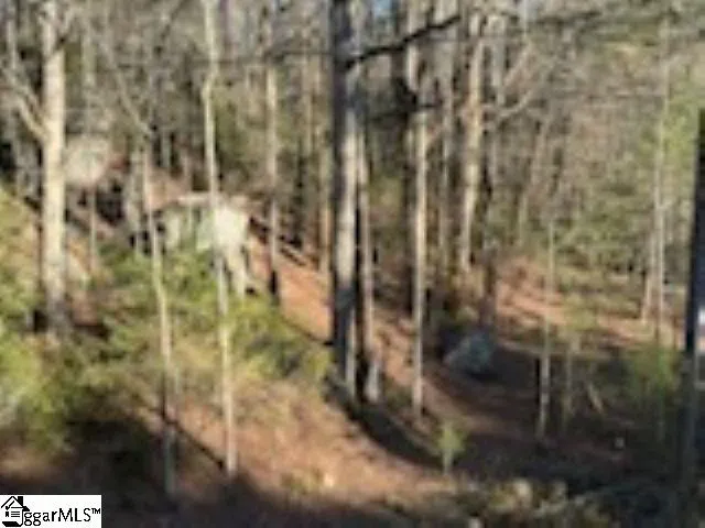 0 Green River Road Zirconia, NC 28790