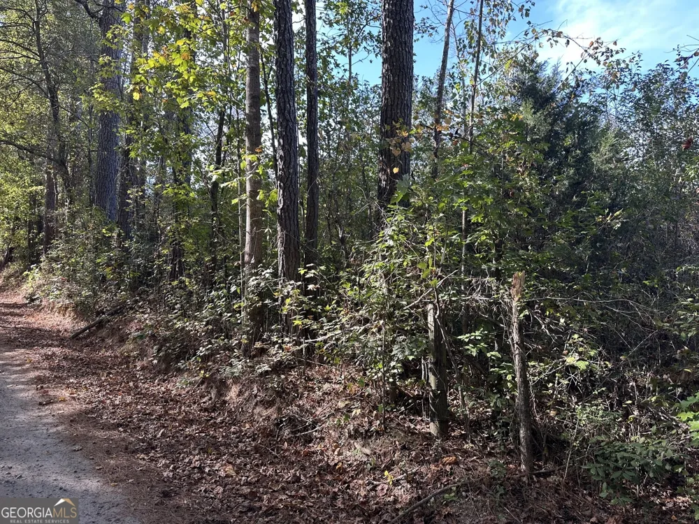 0 Teal RD South Fulton, GA 30213