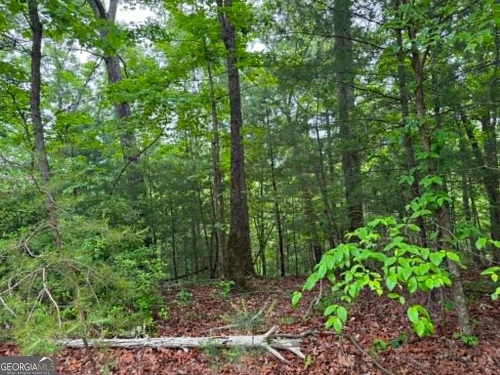 1674A Hunter DR Ranger, GA 30734