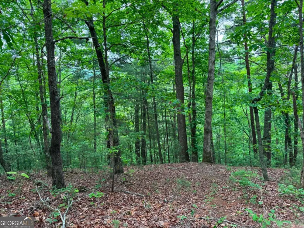 1674A Hunter DR Ranger, GA 30734