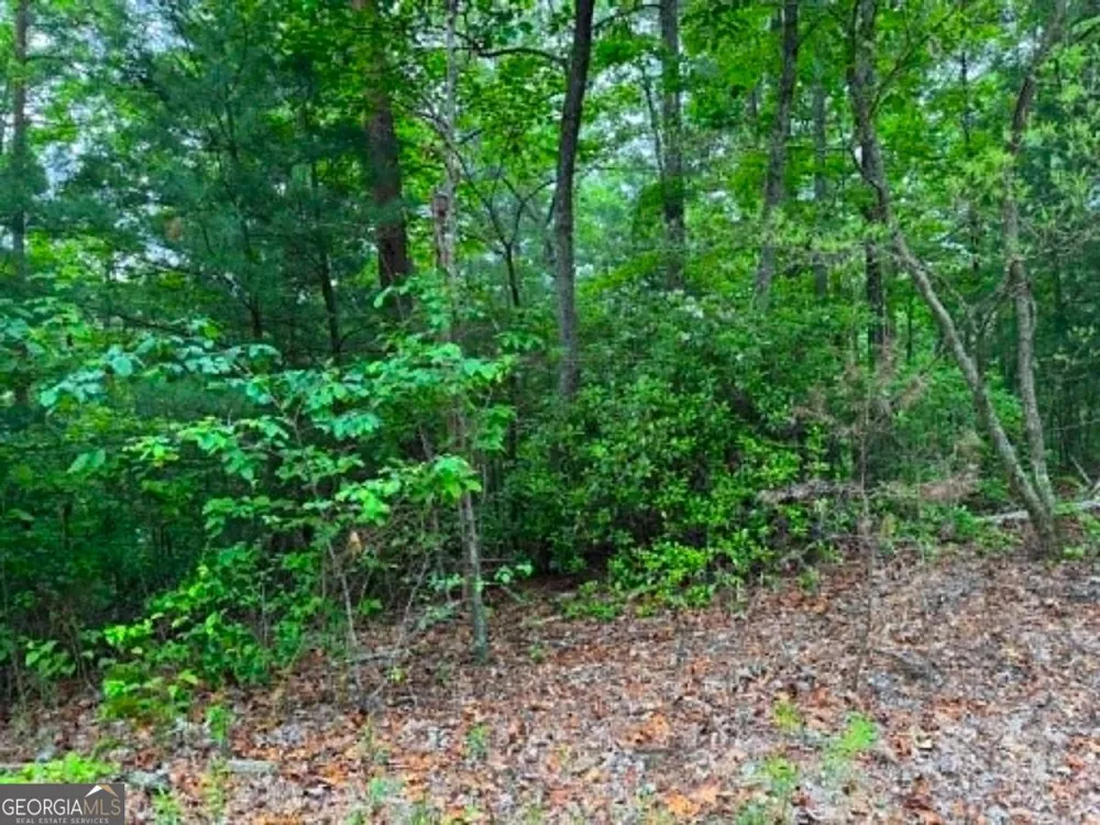 1674A Hunter DR Ranger, GA 30734