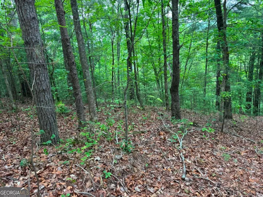 1674A Hunter DR Ranger, GA 30734