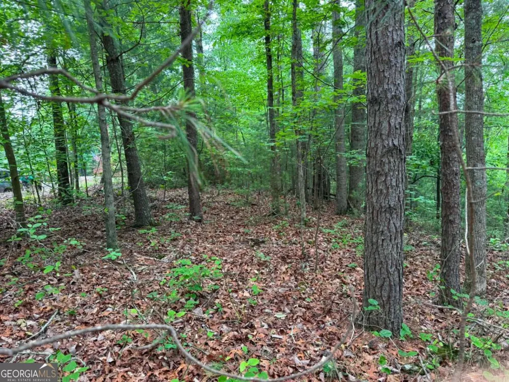 1674A Hunter DR Ranger, GA 30734