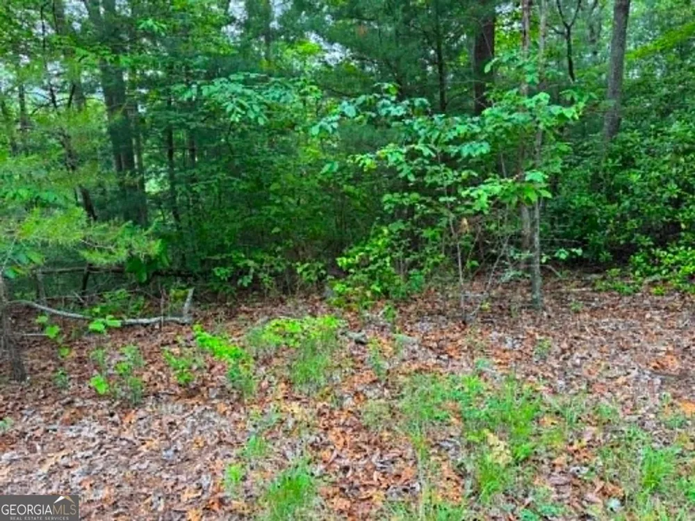 1674A Hunter DR Ranger, GA 30734
