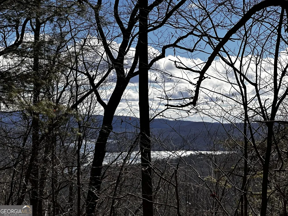 0 Lake View LN Clayton, GA 30525