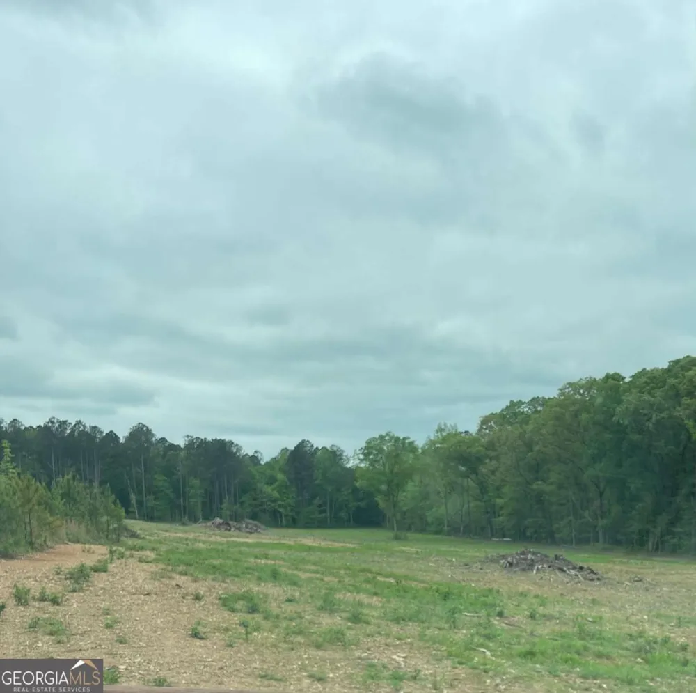 0A Johnson Lake Road #0A Cedartown, GA 30125