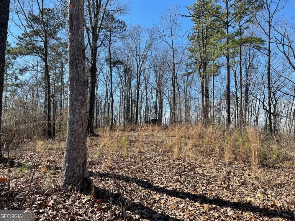 0A Johnson Lake Road #0A Cedartown, GA 30125