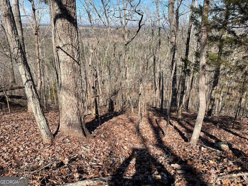 0A Johnson Lake Road #0A Cedartown, GA 30125