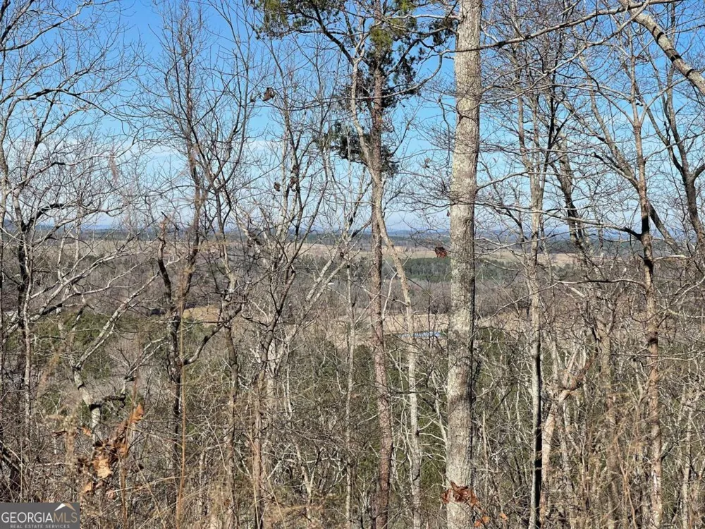 0A Johnson Lake Road #0A Cedartown, GA 30125