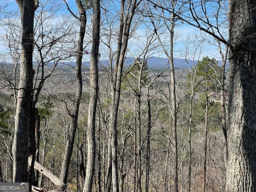 0A Johnson Lake Road #0A Cedartown, GA 30125