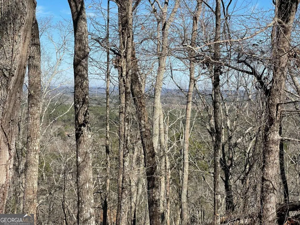 0A Johnson Lake Road #0A Cedartown, GA 30125