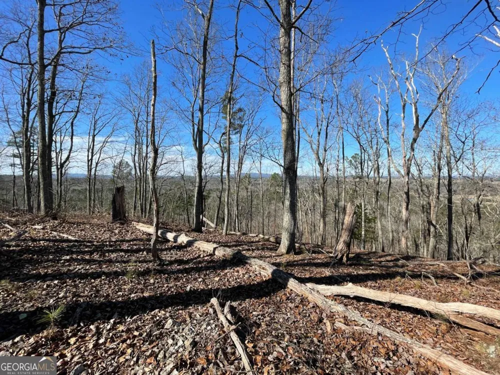 0A Johnson Lake Road #0A Cedartown, GA 30125