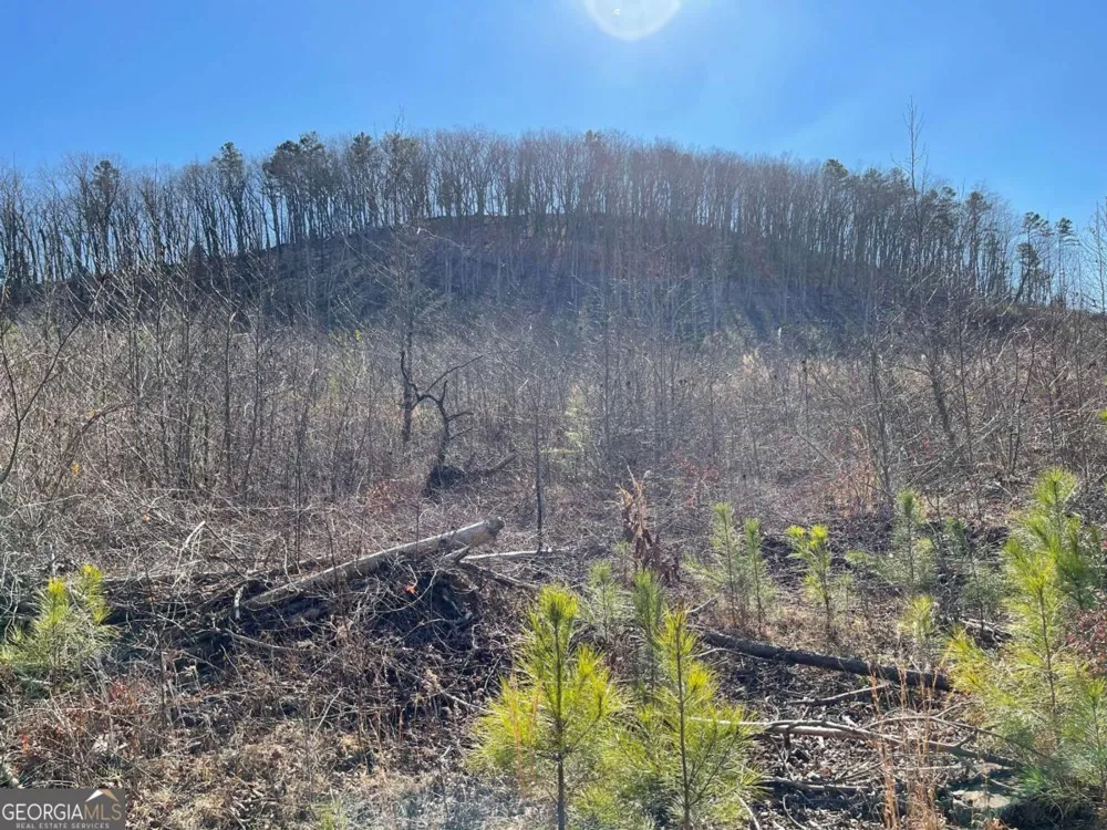 0A Johnson Lake Road #0A Cedartown, GA 30125