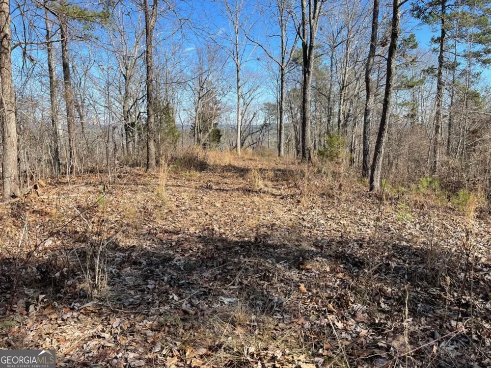0A Johnson Lake Road #0A Cedartown, GA 30125