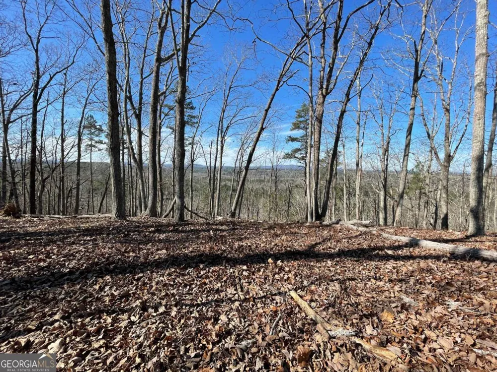 0A Johnson Lake Road #0A Cedartown, GA 30125