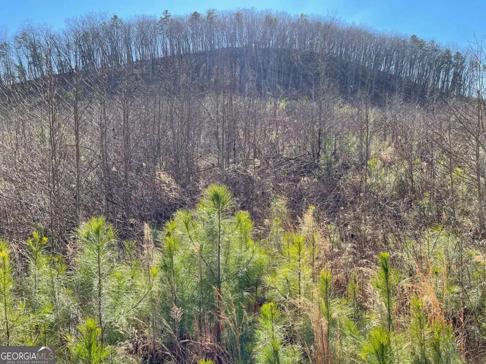 0A Johnson Lake Road #0A Cedartown, GA 30125