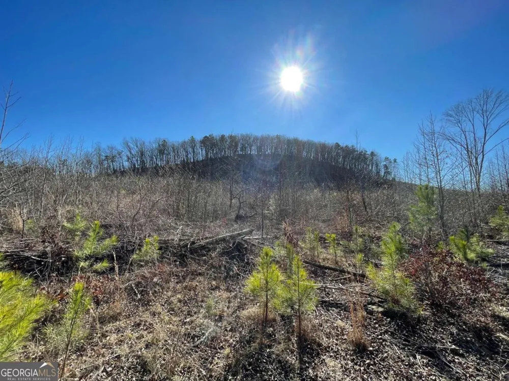 0A Johnson Lake Road #0A Cedartown, GA 30125