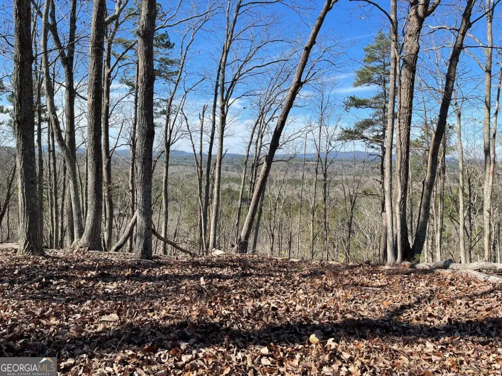 0A Johnson Lake Road #0A Cedartown, GA 30125