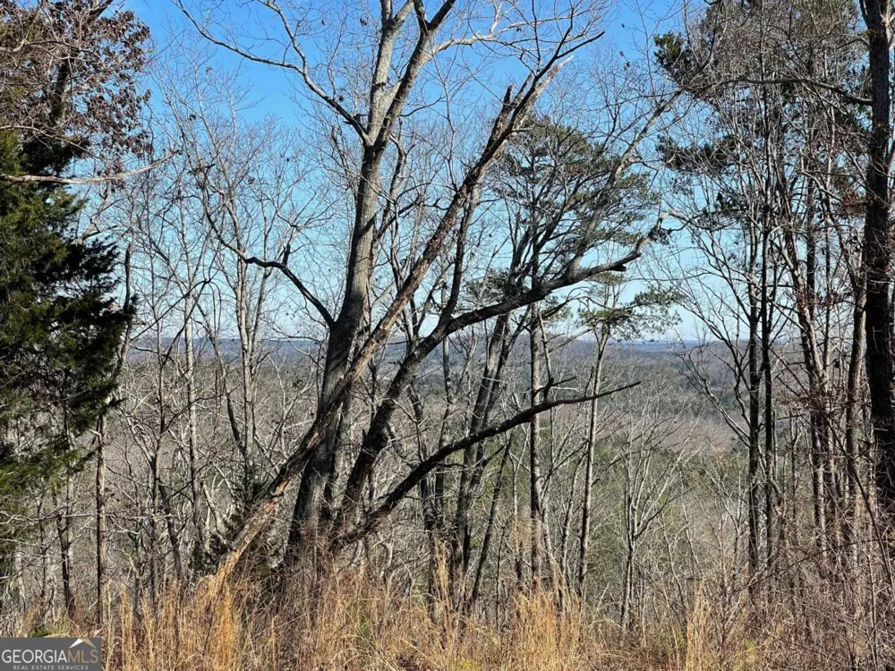 0A Johnson Lake Road #0A Cedartown, GA 30125