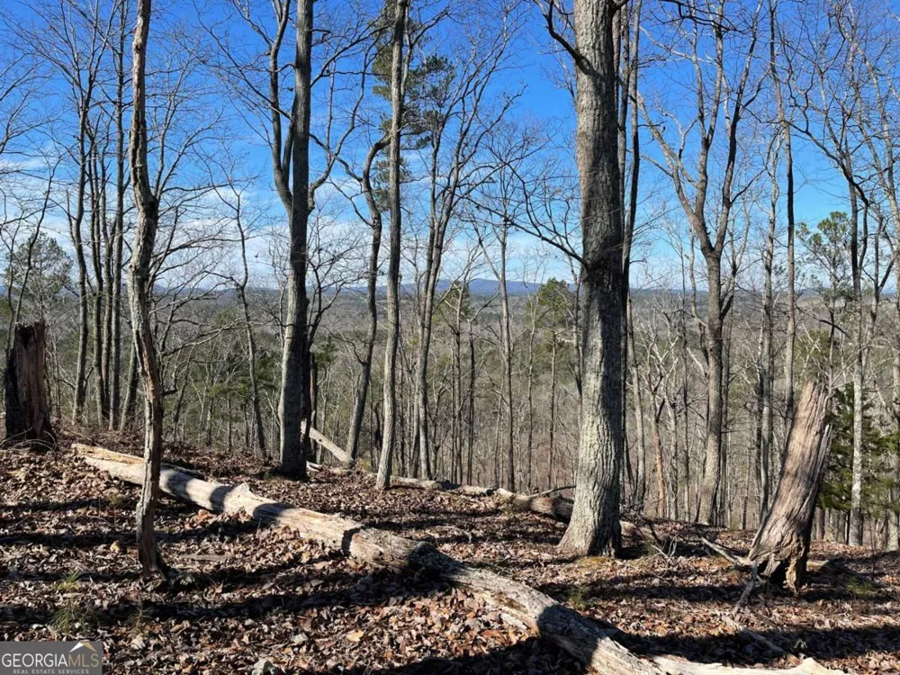 0A Johnson Lake Road #0A Cedartown, GA 30125