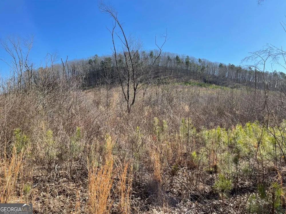 0A Johnson Lake Road #0A Cedartown, GA 30125