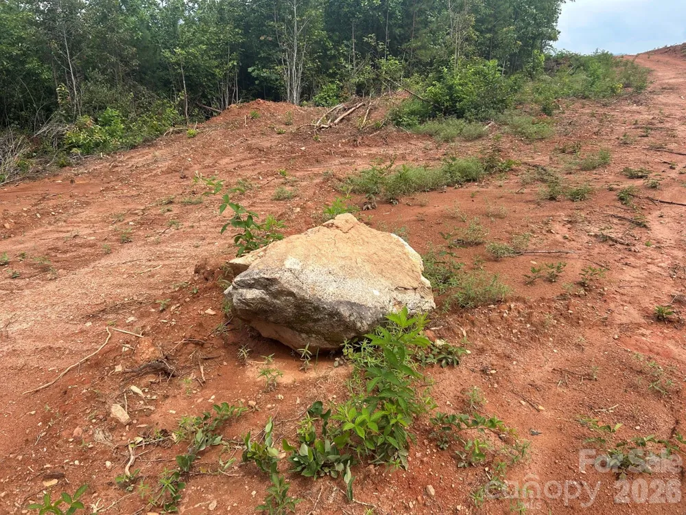 TBD Lotus Drive #20 Nebo, NC 28761
