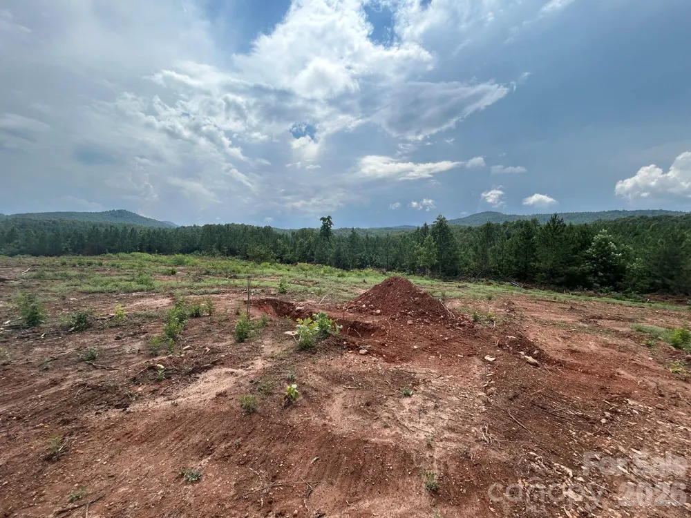 TBD Lotus Drive #20 Nebo, NC 28761