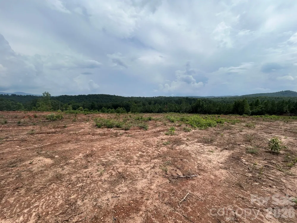 TBD Lotus Drive #20 Nebo, NC 28761
