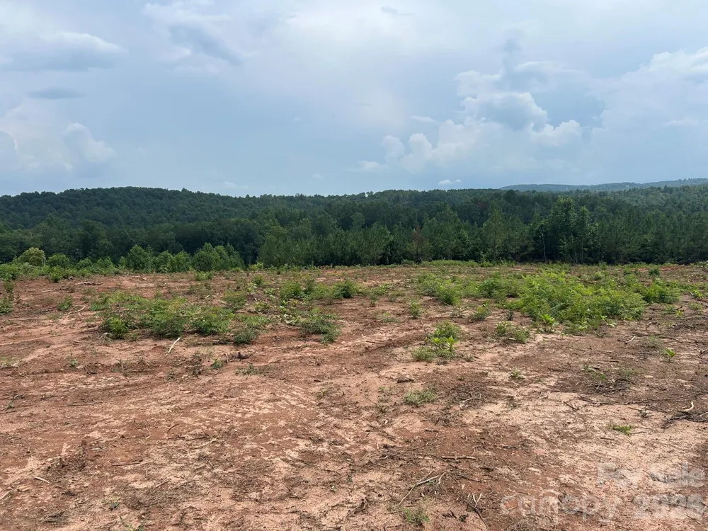TBD Lotus Drive #20 Nebo, NC 28761