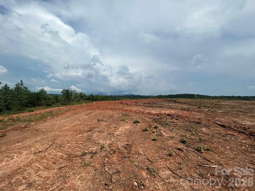 TBD Lotus Drive #20 Nebo, NC 28761