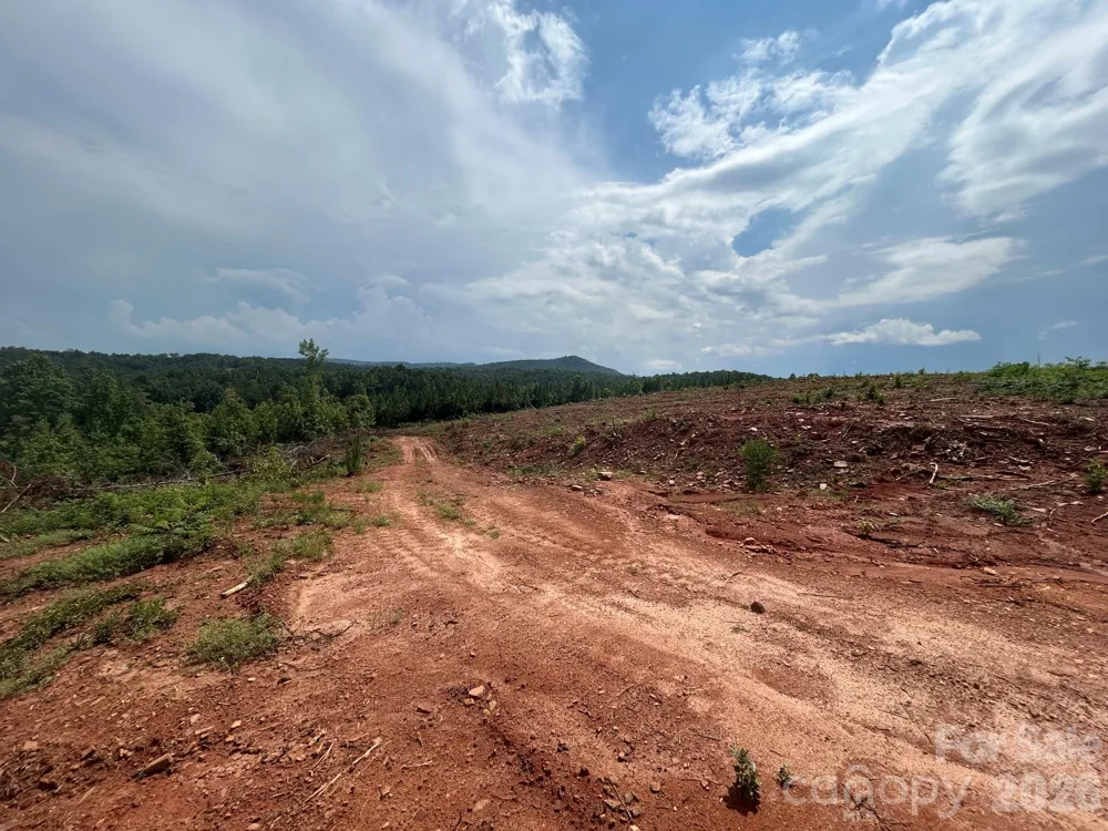 TBD Lotus Drive #20 Nebo, NC 28761