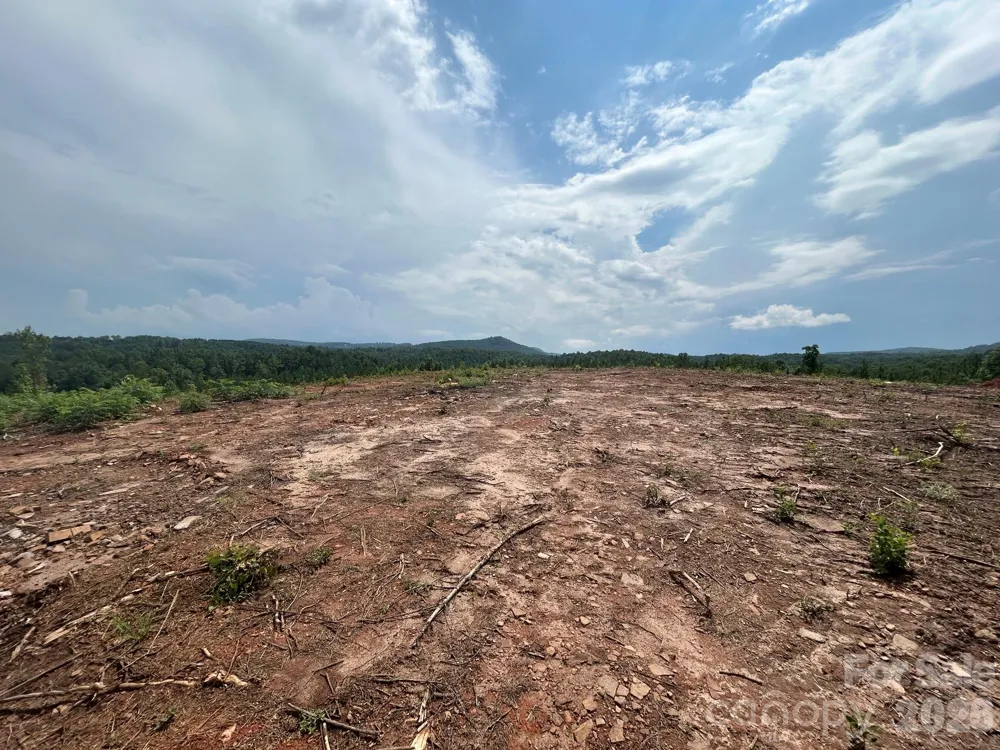 TBD Lotus Drive #20 Nebo, NC 28761