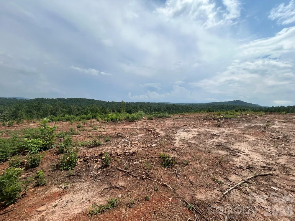 TBD Lotus Drive #20 Nebo, NC 28761