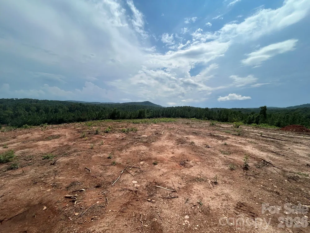 TBD Lotus Drive #20 Nebo, NC 28761