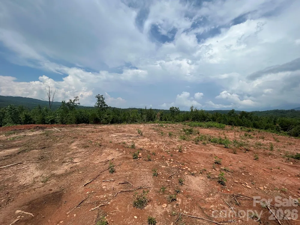 TBD Lotus Drive #20 Nebo, NC 28761