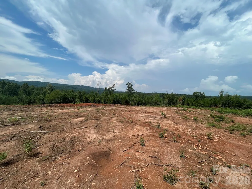 TBD Lotus Drive #20 Nebo, NC 28761