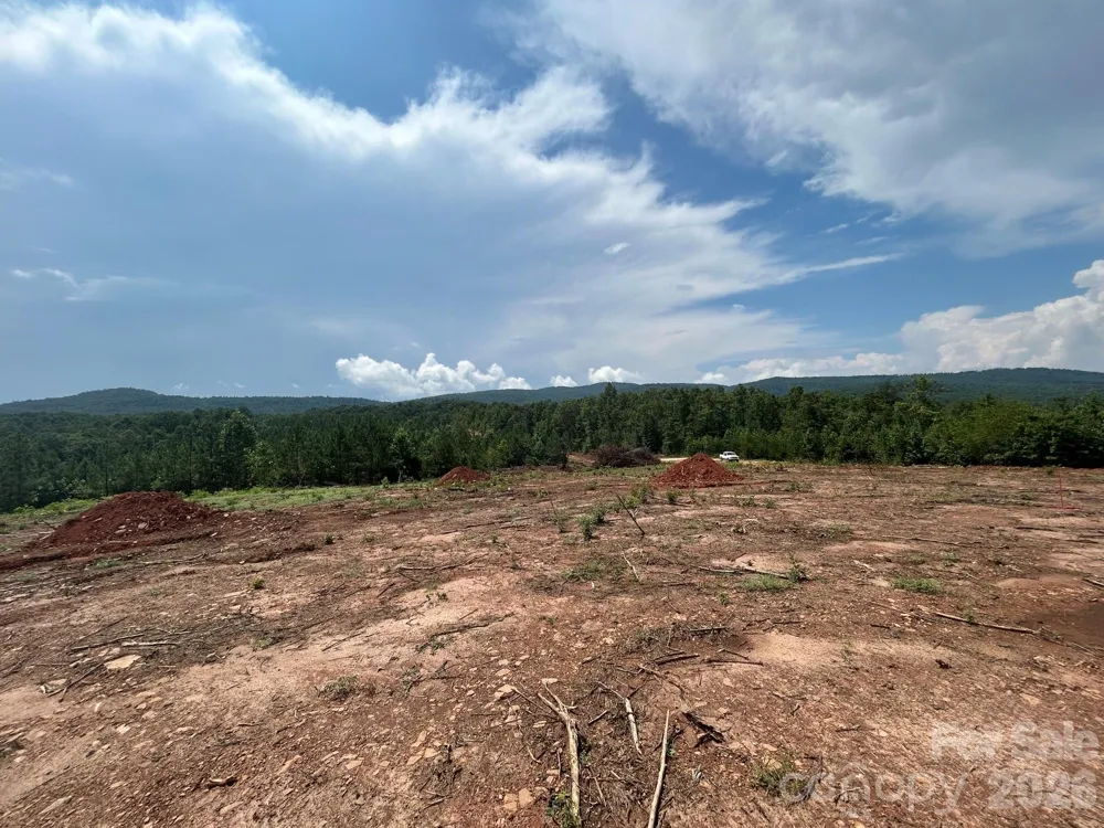 TBD Lotus Drive #20 Nebo, NC 28761