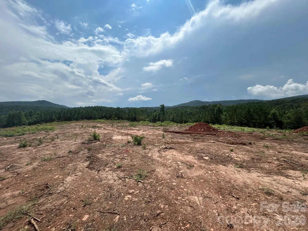TBD Lotus Drive #20 Nebo, NC 28761