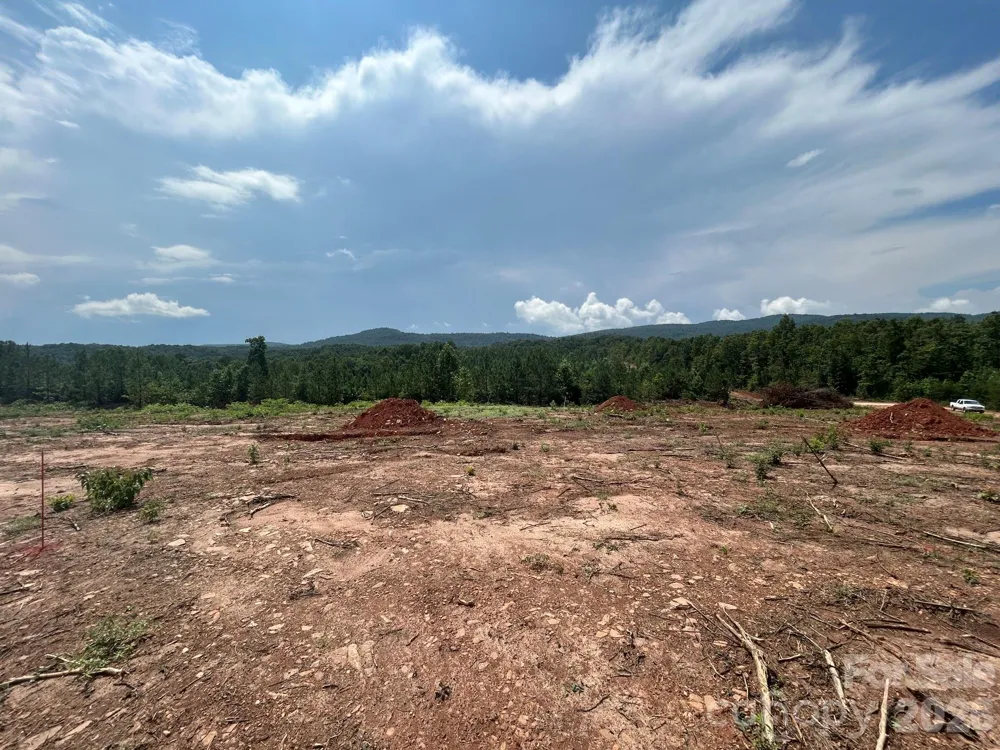TBD Lotus Drive #20 Nebo, NC 28761