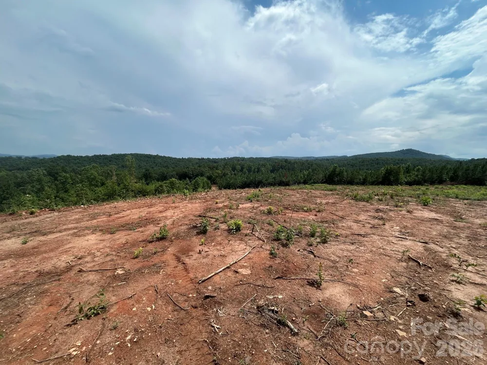 TBD Lotus Drive #20 Nebo, NC 28761