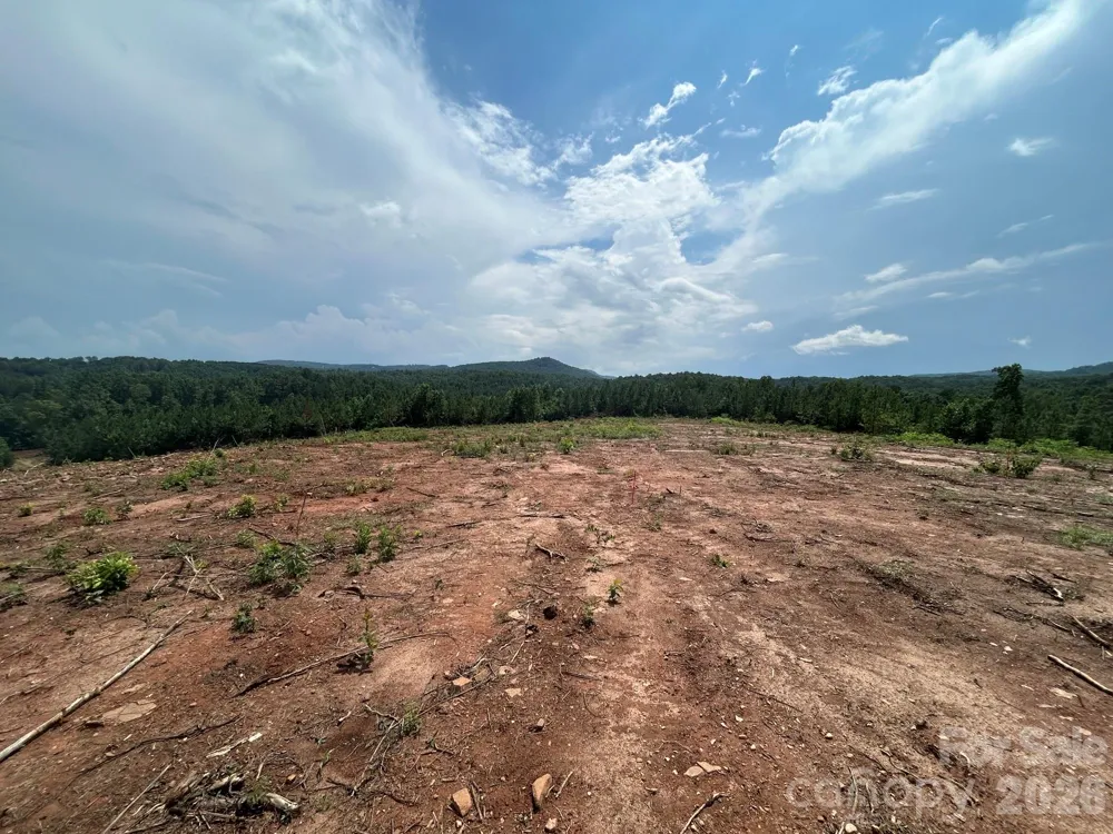 TBD Lotus Drive #20 Nebo, NC 28761
