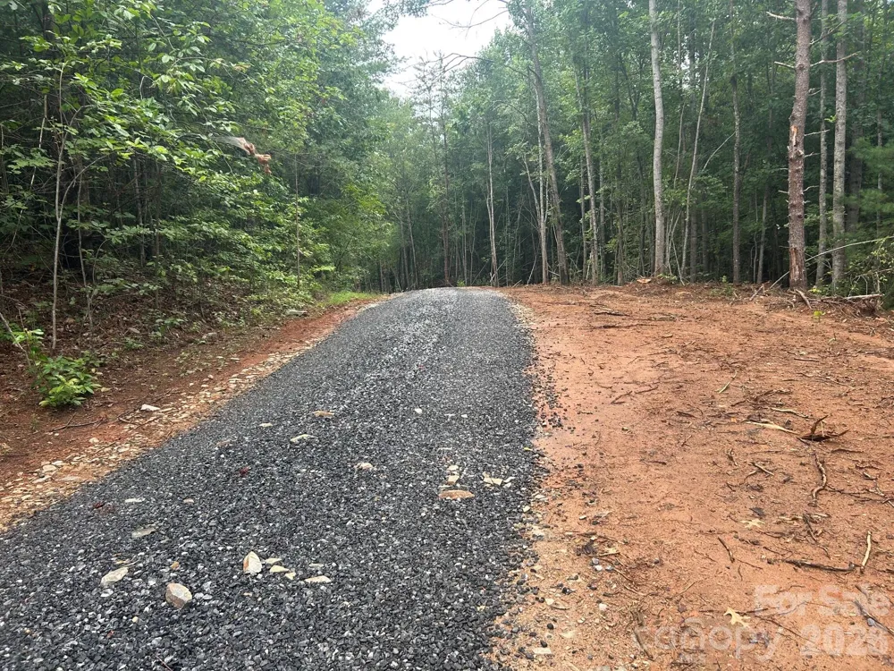TBD Lotus Drive #20 Nebo, NC 28761